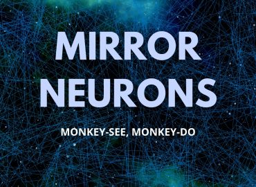 Mirror neurons : Monkey See, Monkey Do